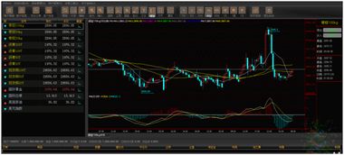 現貨交易軟件,現貨交易系統,軟件開發定制,軟件開發商